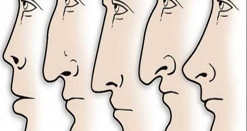 Характер человека написан на его лице или что такое физиогномика