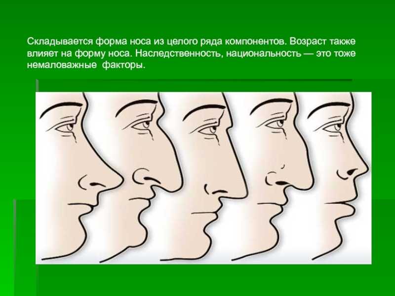 Как определить характер личности по форме носа