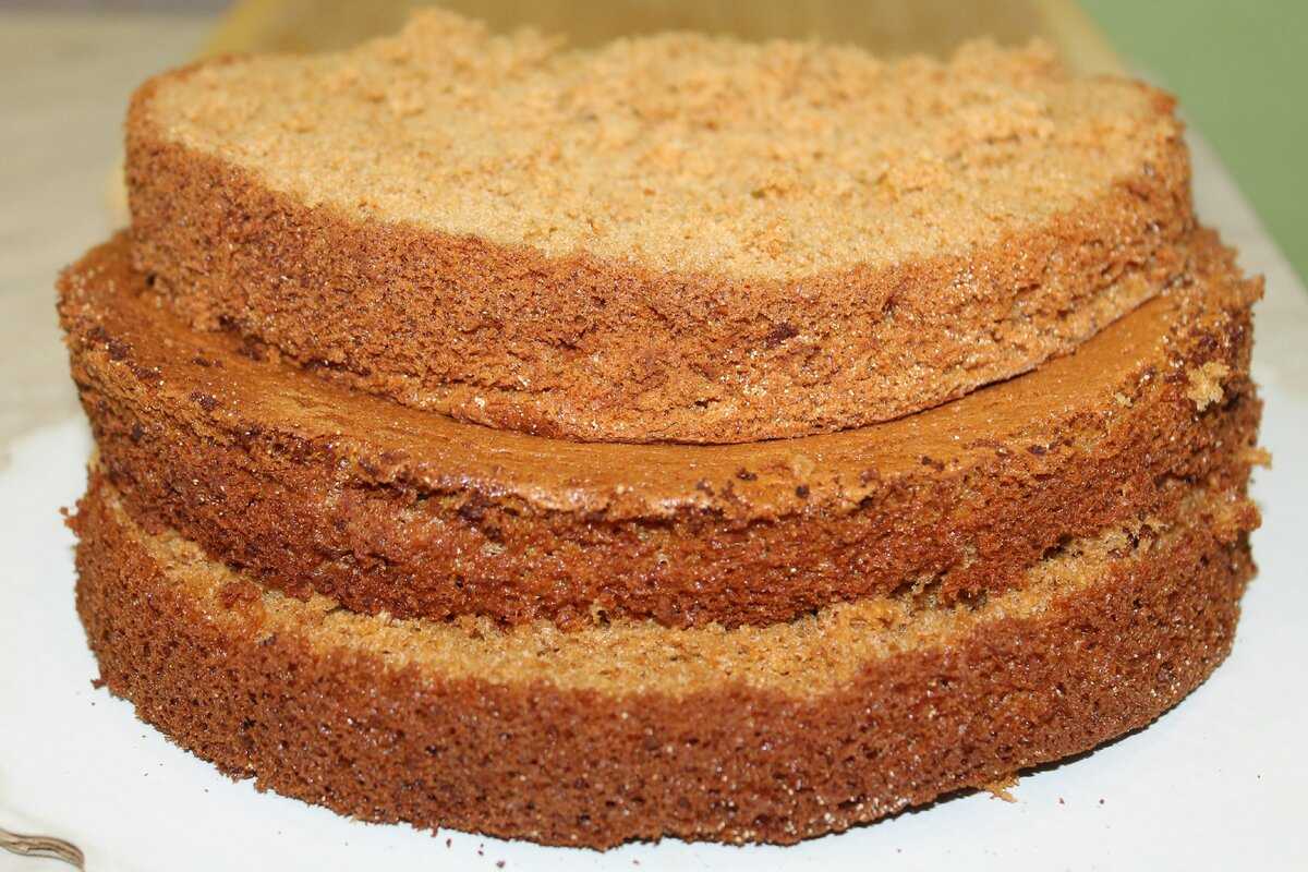 Вкусный бисквитный торт - 7 простых рецептов приготовления торта