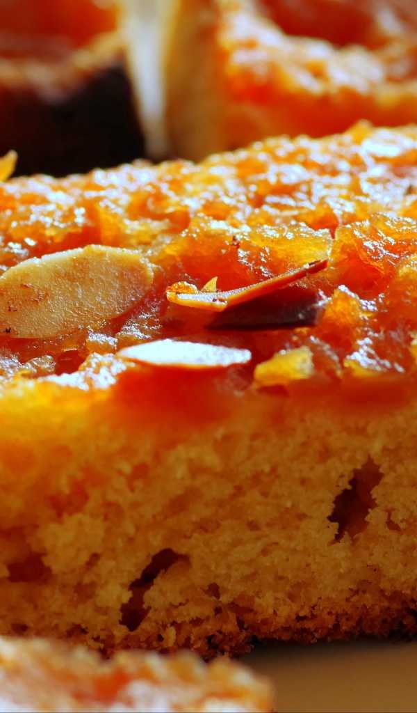 Тыквенный пирог – 8 простых и вкусных рецептов пирога из тыквы в духовке
