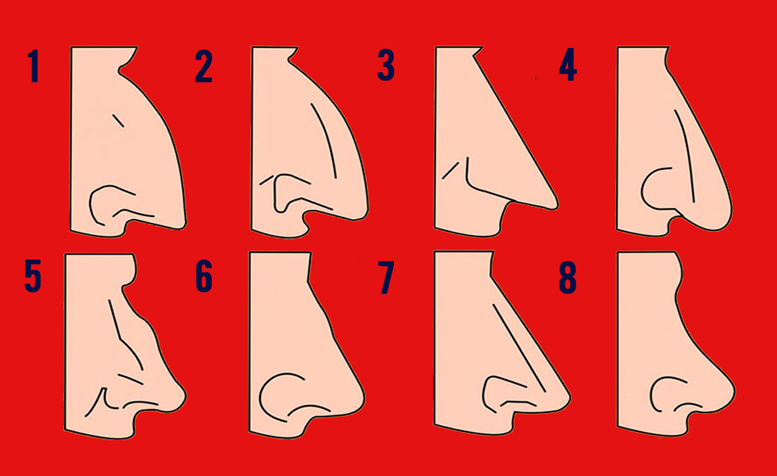 Характер человека по форме носа | физиогномика в картинках