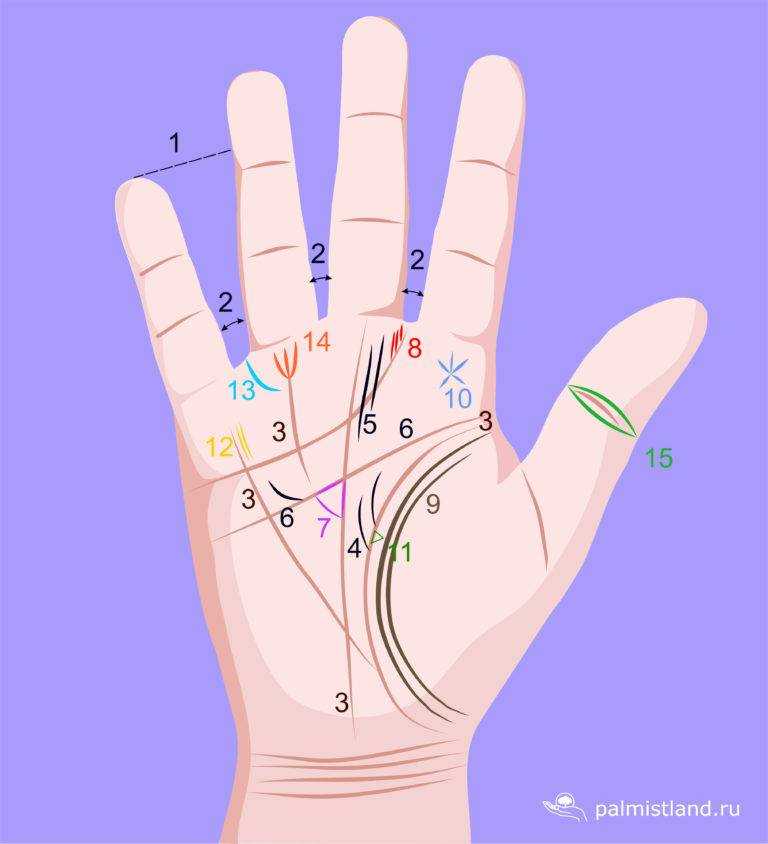 Каждый палец руки связан с 2 органами: исцели себя сам :: инфониак