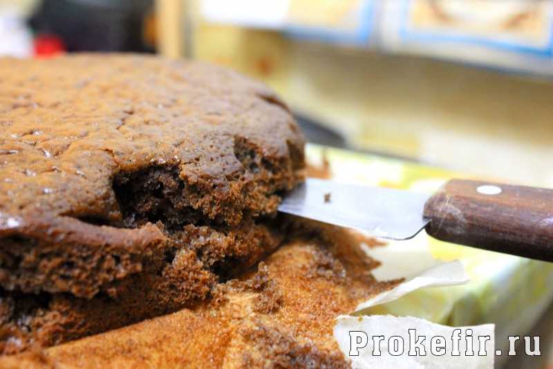 Торт на кефире со сметанным кремом "поль робсон"  | страна мастеров