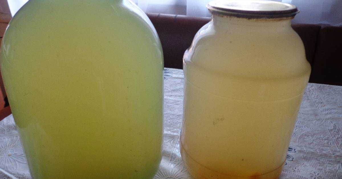 Березовый сок — как закатать (консервировать) и хранить в домашних условиях