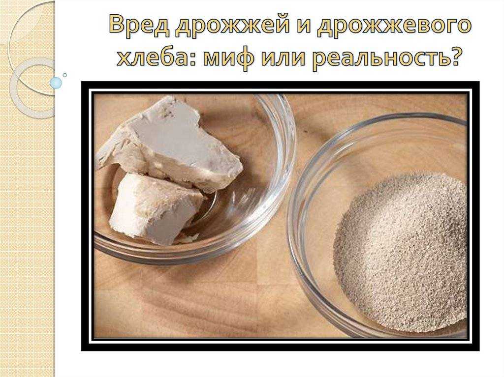 Основы кулинарии: дрожжевое тесто — zira.uz