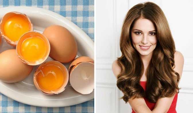 Маски для волос из яиц: рецепты и отзывы