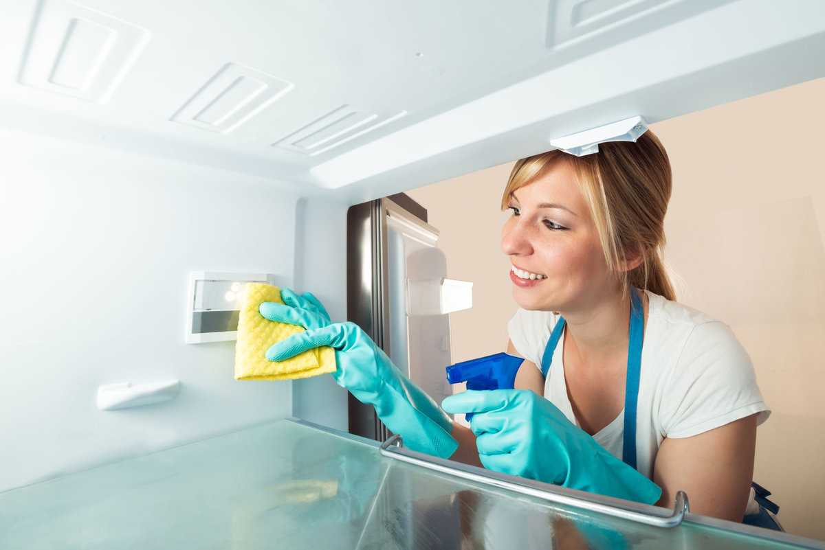 Чем помыть холодильник внутри после разморозки: средства