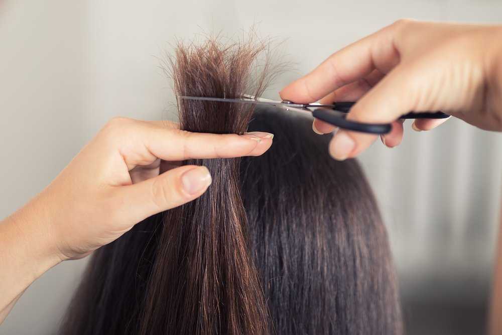 5 главных причин появления секущихся волос. как восстановить посеченные волосы?
