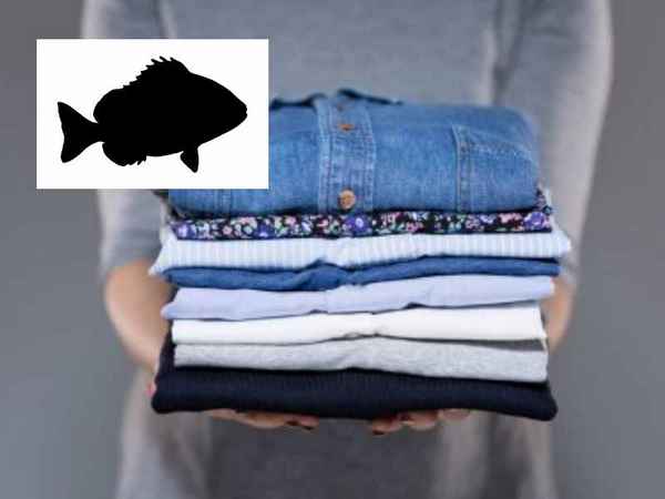 Полезные советы, которые расскажут, как избавиться от запаха рыбы на руках, одежде, столовых приборах используем подручные средства