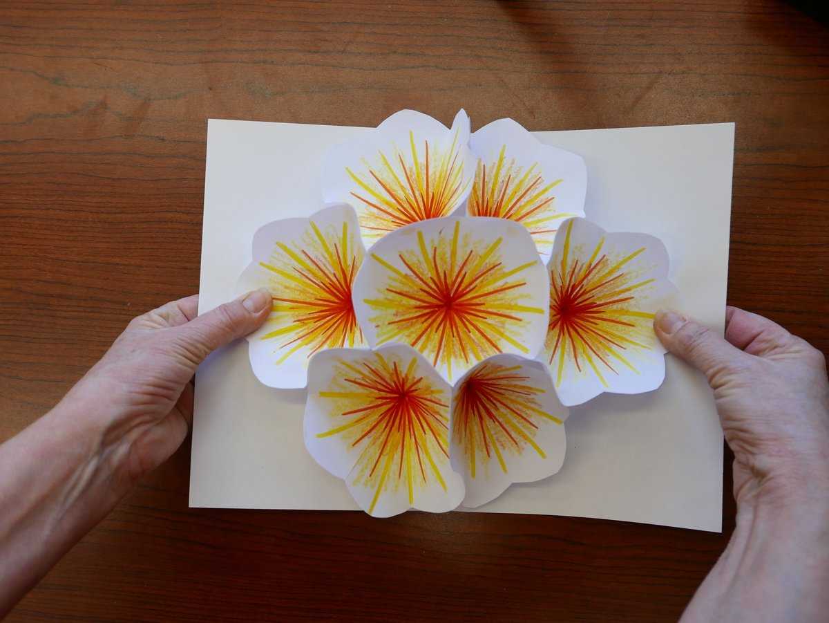 Как сделать объемные открытки своими руками с цветами внутри на день рождения: схемы, шаблоны, мастер-классы по созданию 3д открыток | крестик