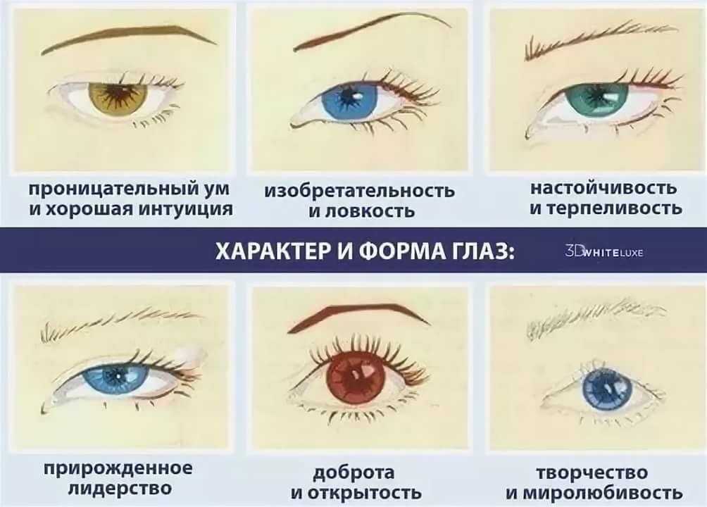 Как узнать какие глаза. Форма глаз и характер. Формы глаз человека. Разновидности форм глаз. Формы разреза глаз.