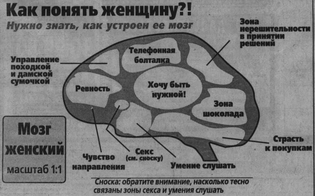 Мозг мужчин различия. Мозг мужчины и мозг женщины. Мужской мозг. Мозг прикольный. Мужской мозг женский мозг приколы.