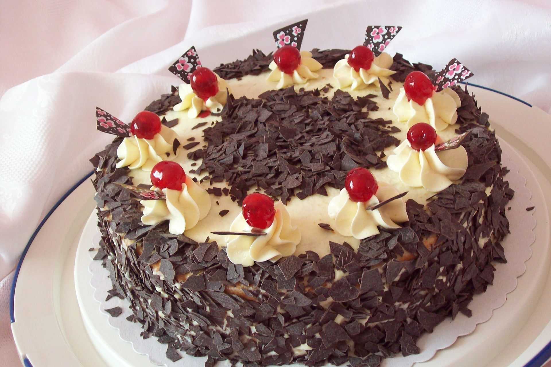 Рецепт торта «черный лес» с вишней