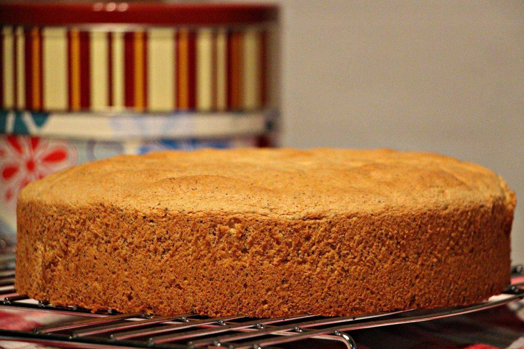 Пышный бисквит в духовке классический для торта – 10 простых рецептов в домашних условиях с фото пошагово