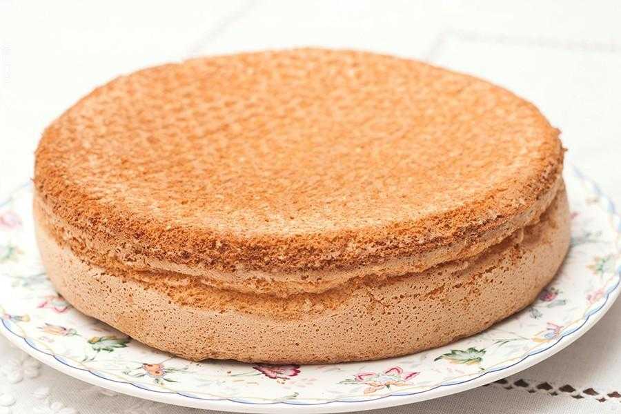 Бисквит классический - рецепт в духовке, пышный для торта: вкусный и простой (фото пошагово)