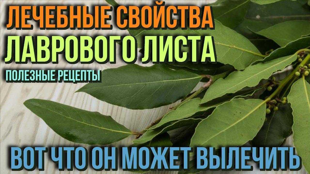 Перхоть на голове: как избавиться и что делать