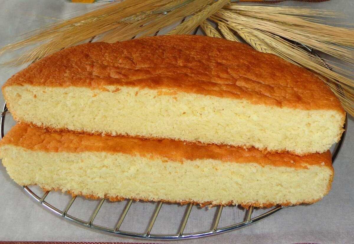 Рецепты простых бисквитный пирог. Ванильный шифоновый бисквит. Шафрановый бисквит. Шифоновый бисквит для торта. Бисквитное тесто.