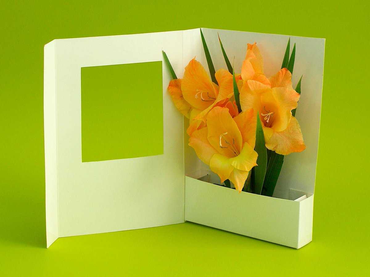 Объемная 3D открытка – отличный вариант подарка для любого случая Пошаговые инструкции как сделать 3D-открытку на день рождения, объемная открытка цветочного и прочих интересных дизайнов