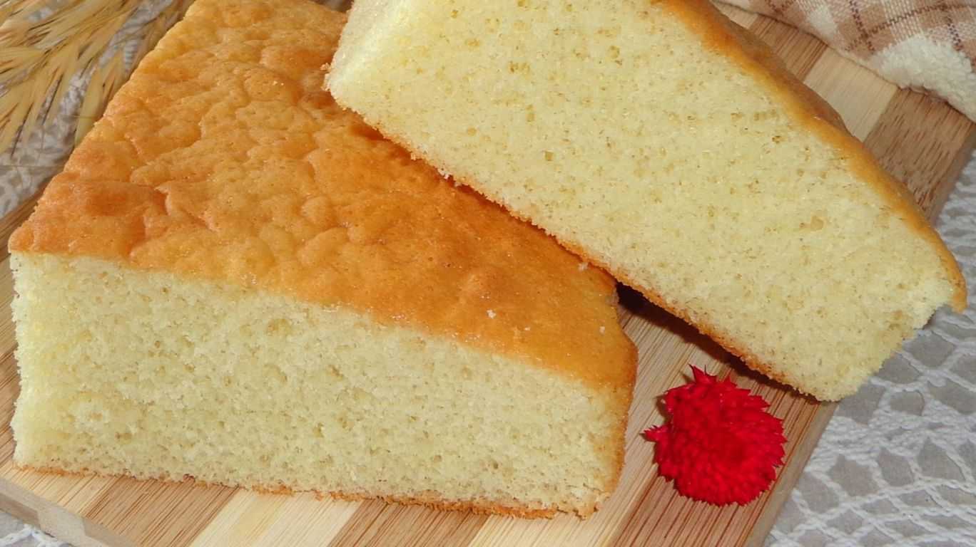 Бисквит