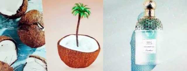 Все, что вы хотели знать о кокосовой воде