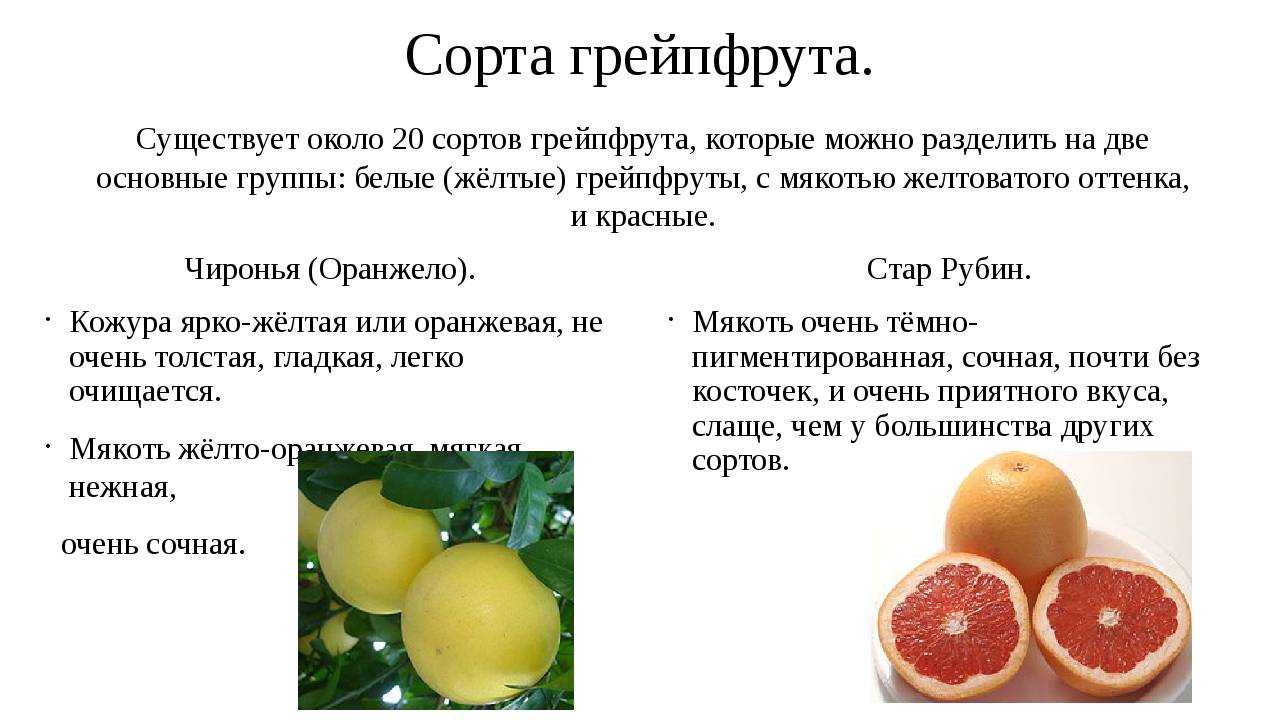 Польза грейпфрута для кожи: свойства и применение в косметике