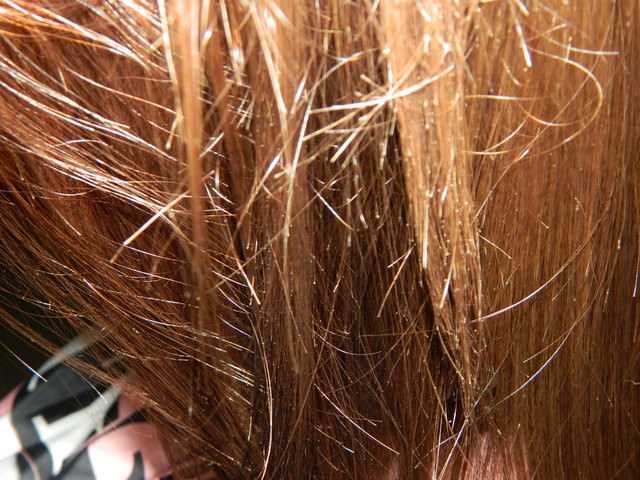 Почему секутся волосы: что делать [5 советов] с секущимися кончиками
