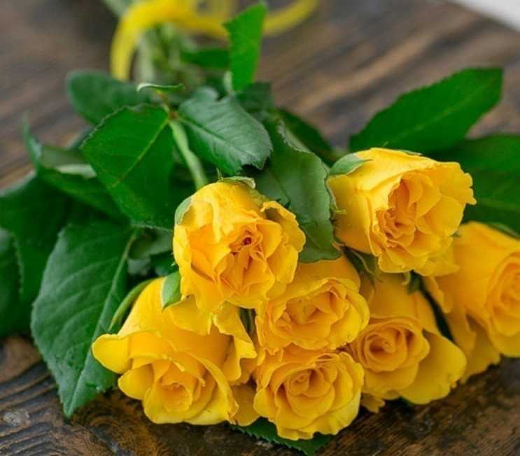 Когда дарят желтые розы. каоке это имеет значение. советы фото