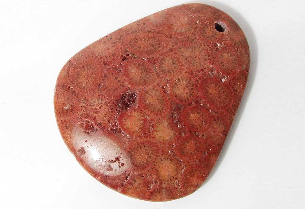 Камень коралл: магические свойства, виды и цвета, кому подходит по знаку зодиака