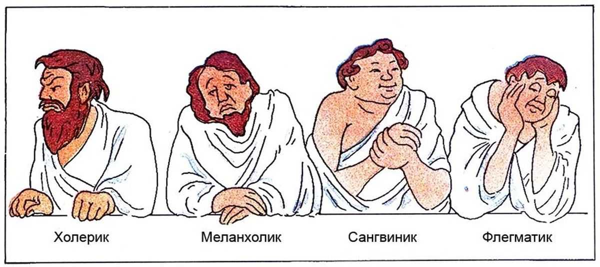 Меланхолик холерик картинка
