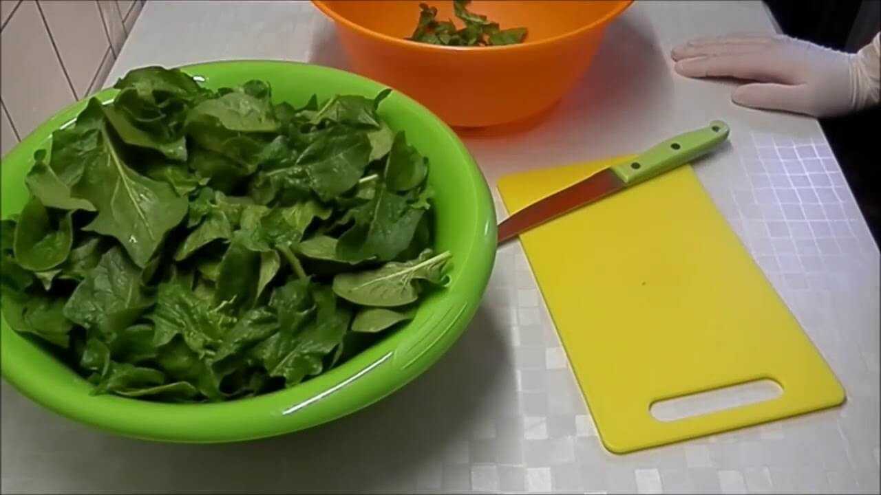 Как заморозить шпинат на зиму в домашних условиях: заготовка с фото