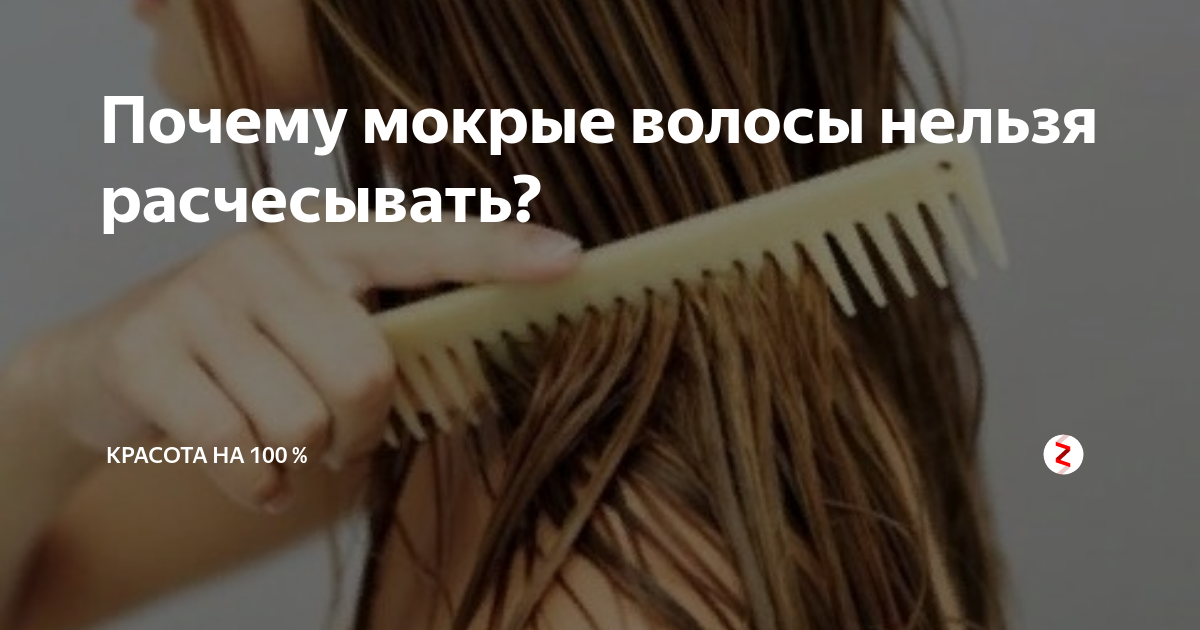 Можно ли расчесывать мокрые волосы после мытья девочке