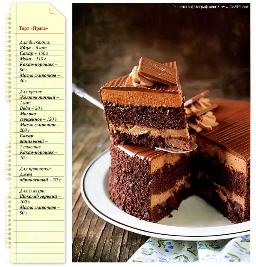 15 лучших рецептов, как испечь пышный шоколадный бисквит