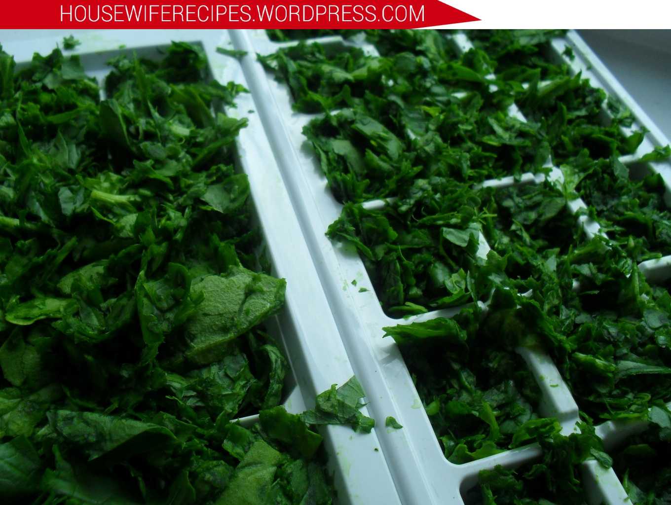 Заморозка шпината на зиму - рецепт, как заготовить зелень в домашних условиях