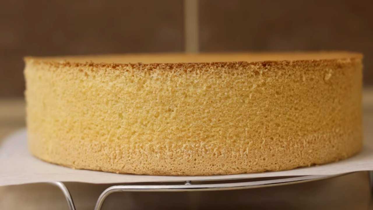 Рецепт нежного бисквита. Бисквит. Бисквит классический. Классический бисквит для торта. Высокий бисквит.