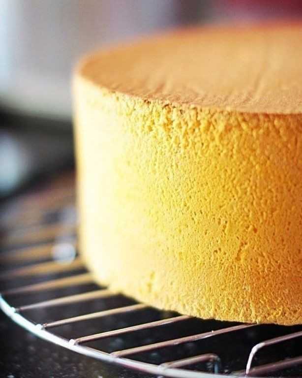 Бисквитный торт: простые рецепты приготовления в домашних условиях