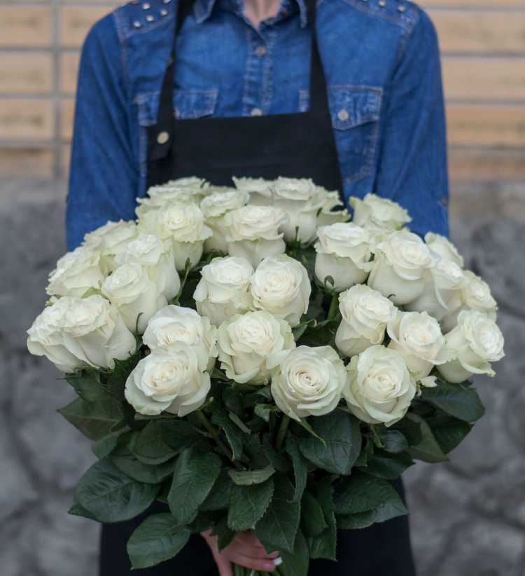 Что означают белые розы: что символизируют, по какому поводу дарят