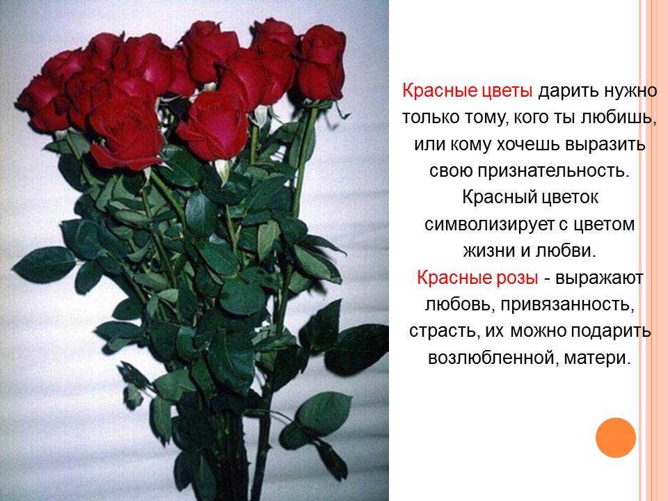 Можно ли дарить розовые розы