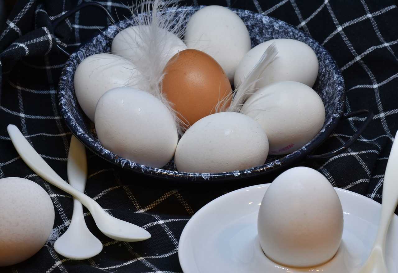 Что можно приготовить из яичных белков: рецепты сладких и несладких блюд