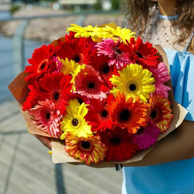 Какие цветы подарить на день рождения девушке - «цветочный блюз»