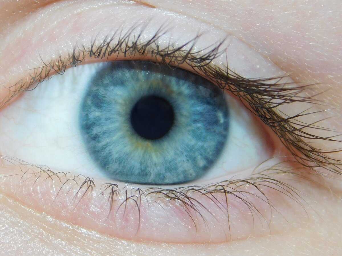 Оттенки теней для серых и серо-голубых глаз 