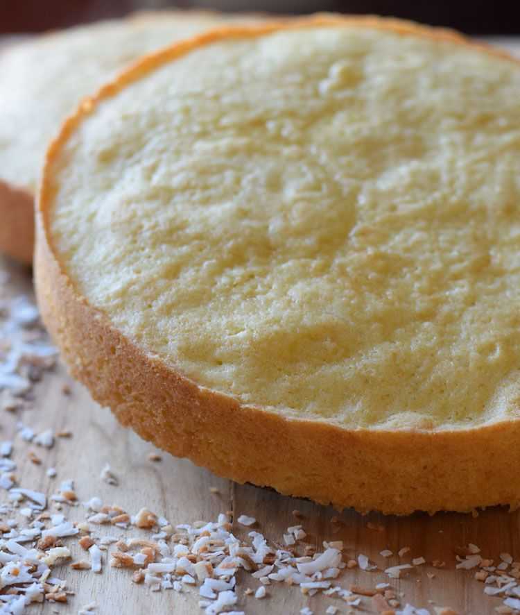 Сладкие хроникибисквит для торта классический: рецепт, который всегда получается с фото пошагово
бисквит для торта классический: рецепт, который всегда получается с фото пошагово