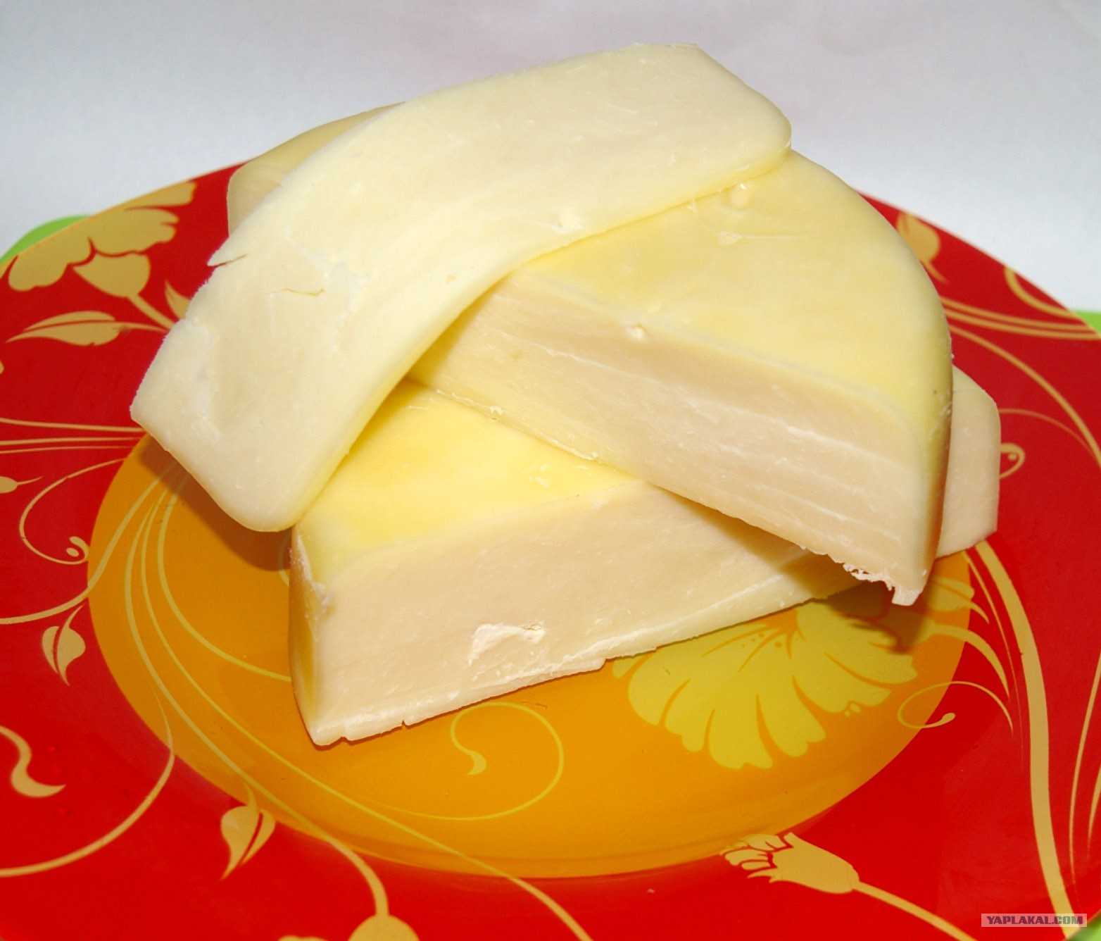 Сливочный сыр в домашних условиях. как сделать домашний сливочный сыр?