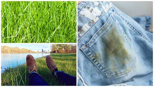 Как и чем отстирать траву с одежды|вывести пятно от травы