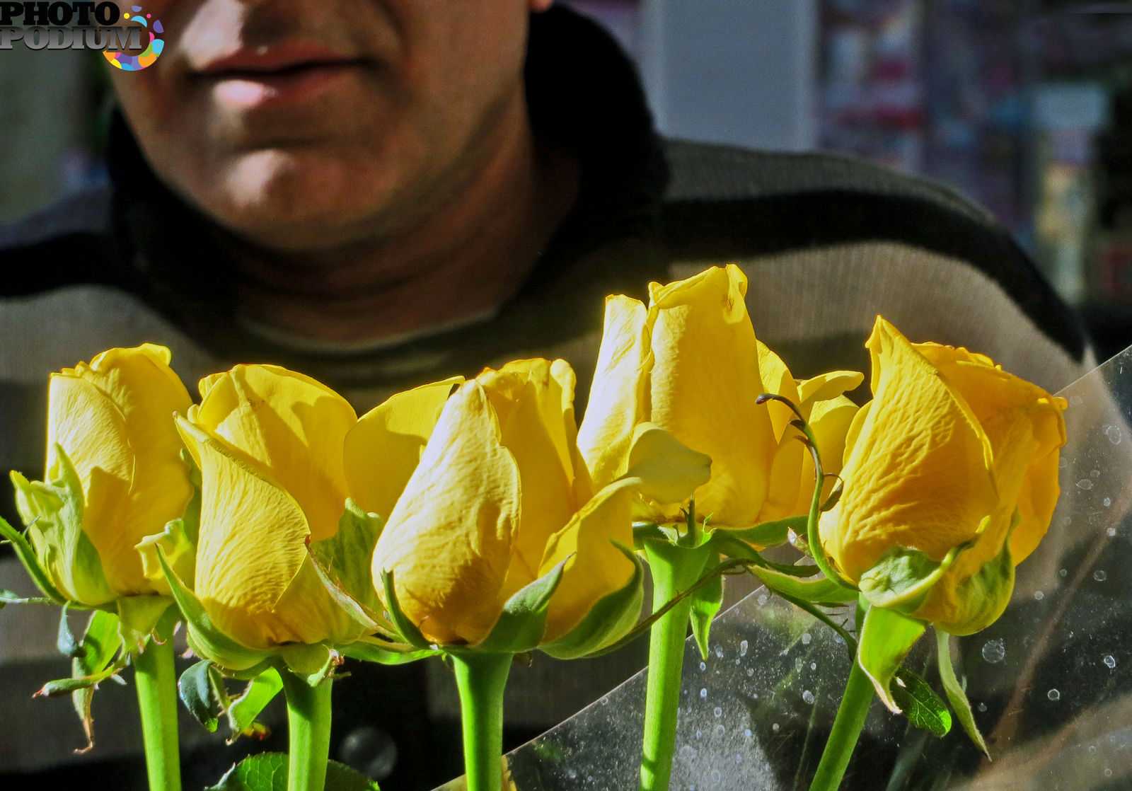 К чему дарят желтые розы: значение для женщины, почему означают разлуку