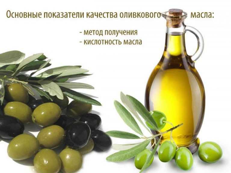 Как сделать оливковое масло своими руками