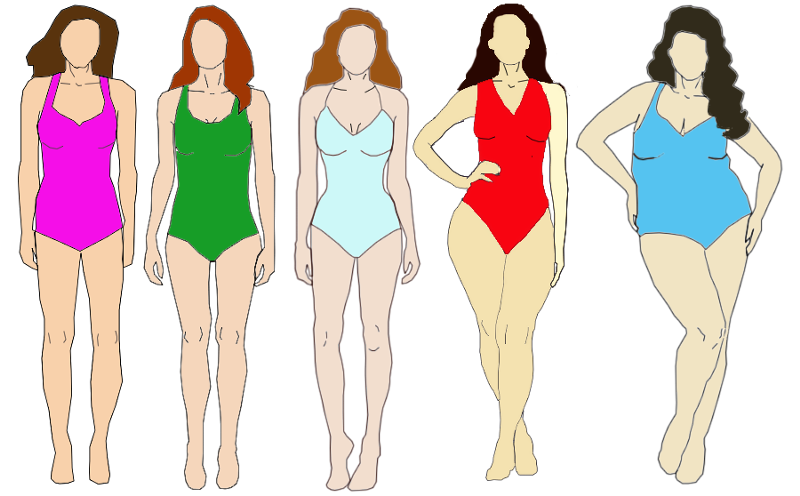 Округлые женские формы. Типы фигур. Женская фигура. Форма тела девушки. Типы женских фигур.