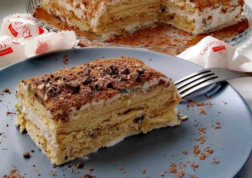 Торт из печенья без выпечки: 10 рецептов со сгущенкой, сметаной, творогом