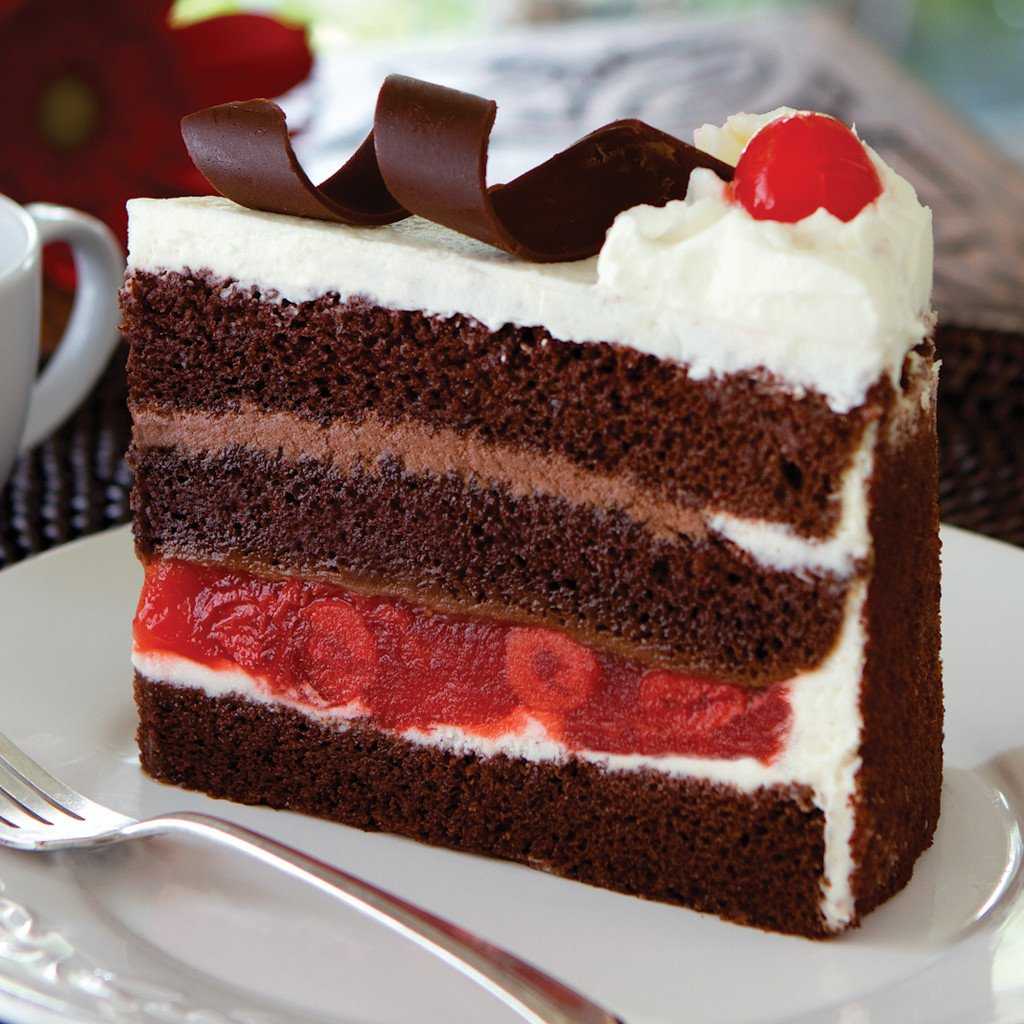 Торт черный лес: пошаговый фото-рецепт — все про торты: рецепты, описание, история