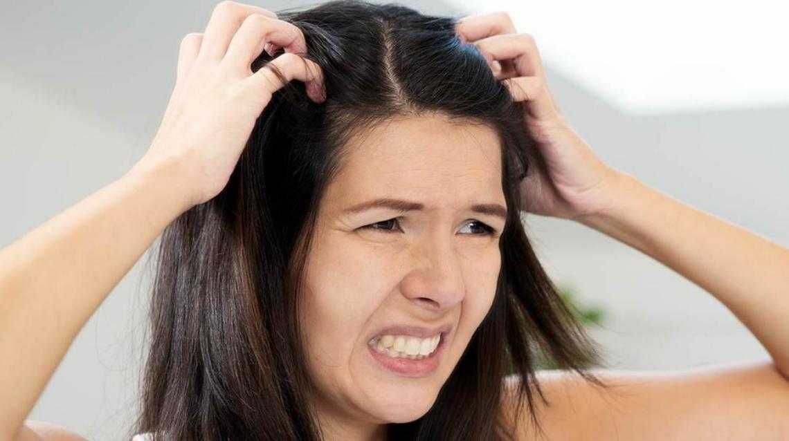 Секущиеся кончики – методы лечения и причины сухости волос – уро-про