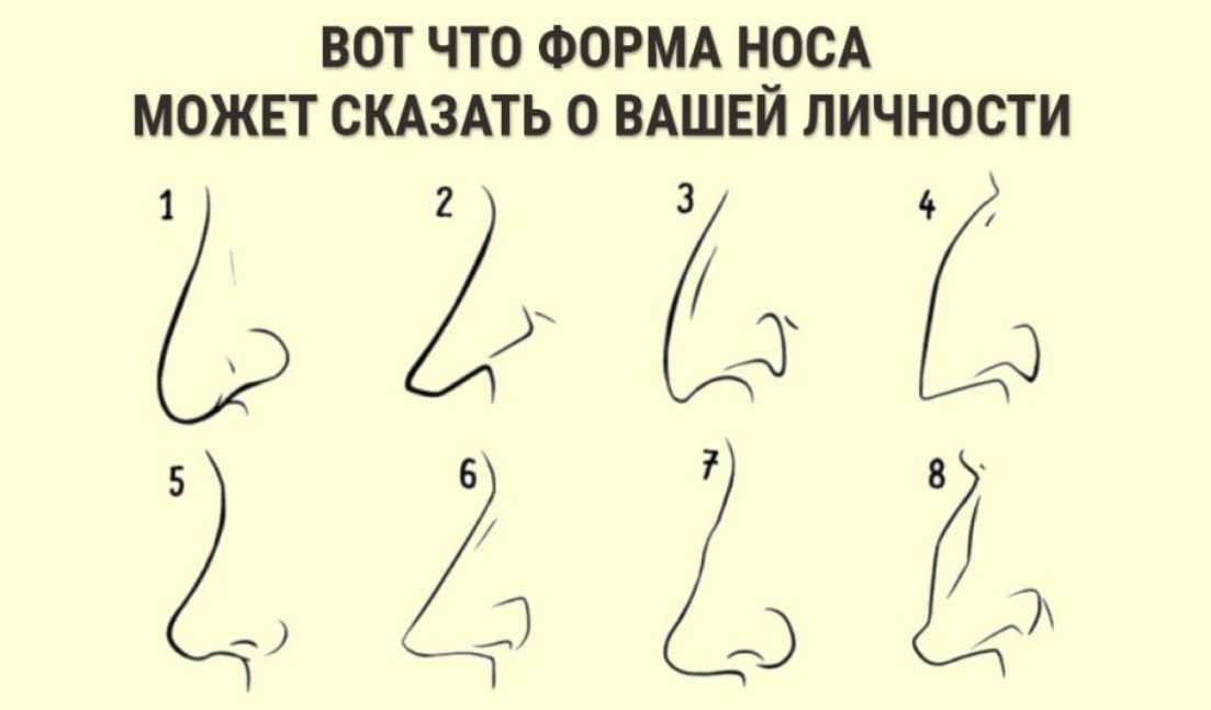 Физиогномика: определение характера по чертам лица - dolio.ru